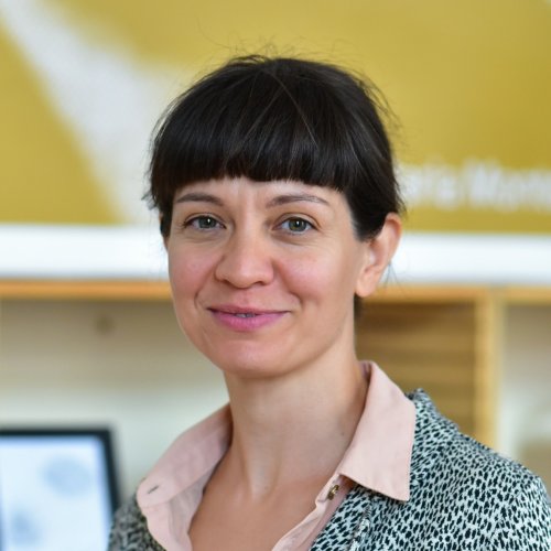Jitka Votýpka Krejcarová Jitka Votýpka Krejcarová